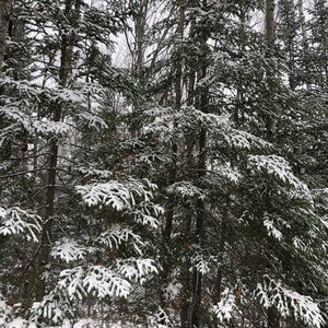 Meet your Posher, Abbie